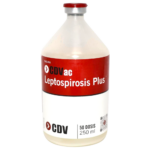 VAC.LEPTOSPIROSIS X 50 DS
