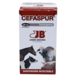 CEFASPUR X 100 ML