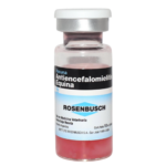 VAC.ANTIENCEFALOMIEL.EQ.X 5 DS