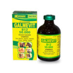GALMEVIT B12 X 50 ML