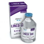 LINCO 300 MG X 100 ML