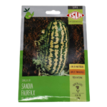 SANDIA FAIRFAX X 6 GR X SB