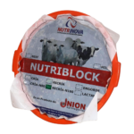 NUTRIBLOCK RECRIA X 25 KG